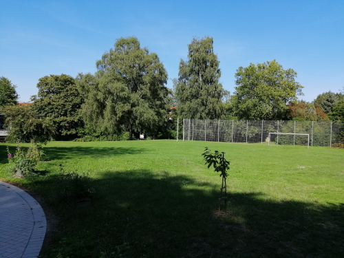 Die Freizeit- und Grünanlage zwischen Liebfrauenstraße, Kreuzkamp und Wittener Straße stellt für die CDU Altenbochum einen unverzichtbaren Mehrwert für das Stadtteilzentrum dar. Die Freizeit- und Grünanlage zwischen Liebfrauenstraße, Kreuzkamp und Wittener Straße stellt für die CDU Altenbochum einen unverzichtbaren Mehrwert für das Stadtteilzentrum dar.