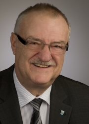 Wolfgang Horneck, Ratsmitglied