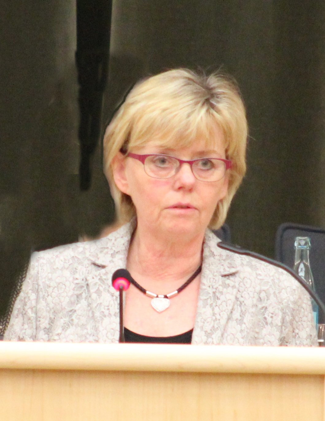 Elke Janura, Ratsmitglied